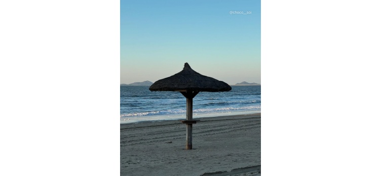 260210 카드뉴스9