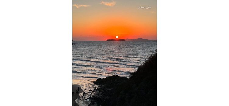 260210 카드뉴스10