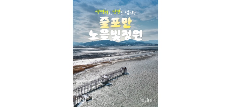 260210 카드뉴스11