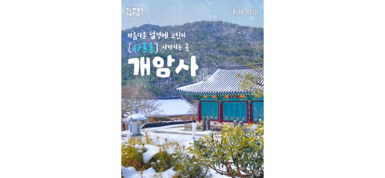 260210 카드뉴스14