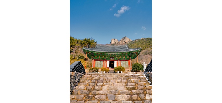 260210 카드뉴스16