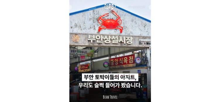 260210 카드뉴스17