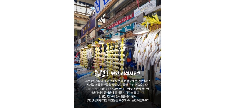 260210 카드뉴스18