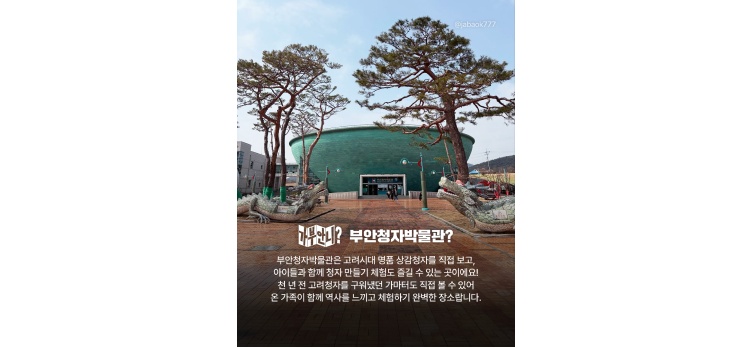 260210 카드뉴스19