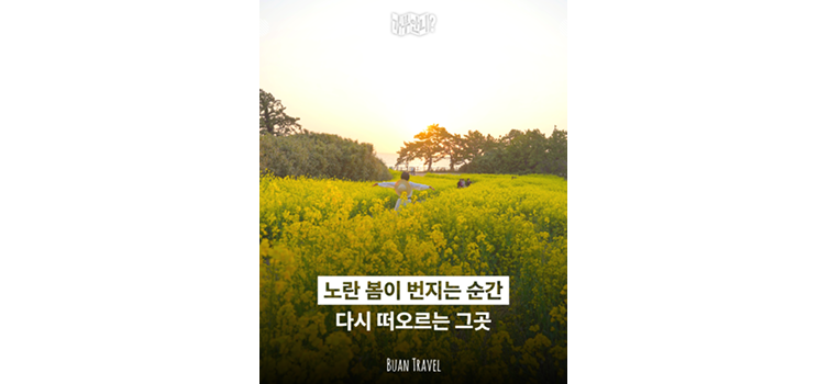 20260317 카드뉴스2