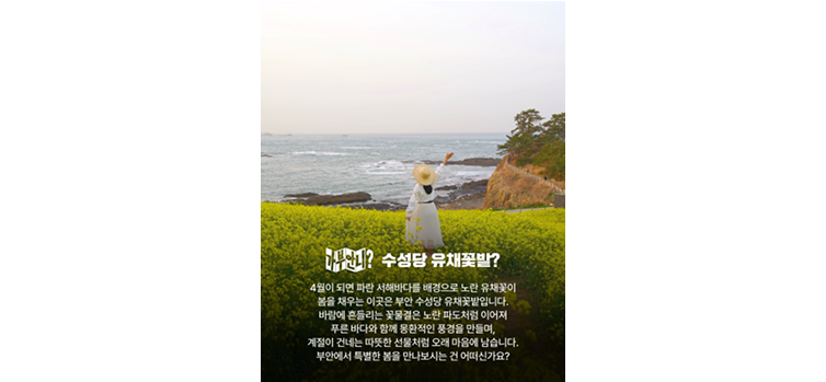 20260317 카드뉴스3