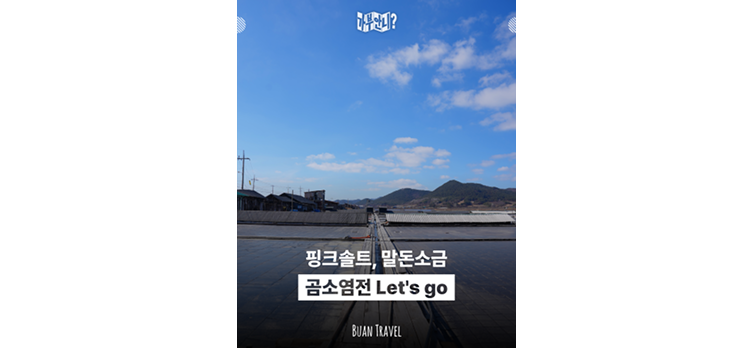 20260317 카드뉴스7