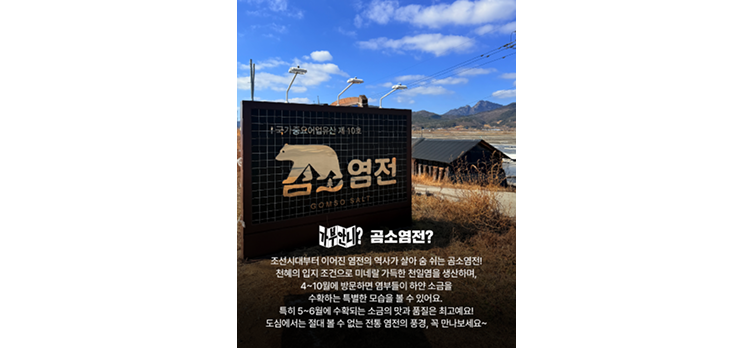 20260317 카드뉴스8