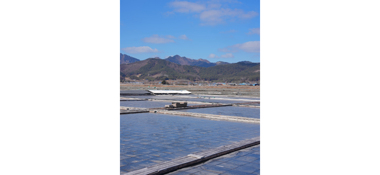 20260317 카드뉴스9