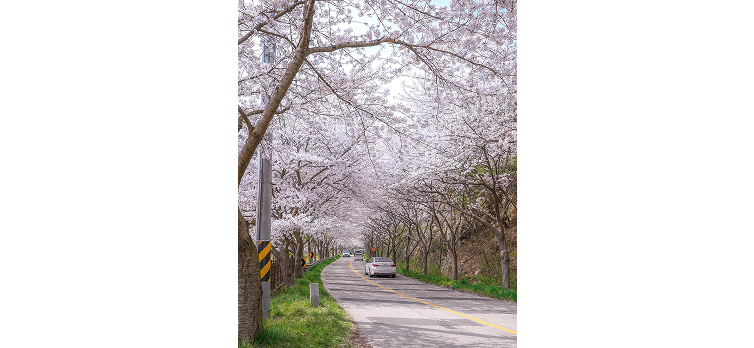 20260331 카드뉴스3