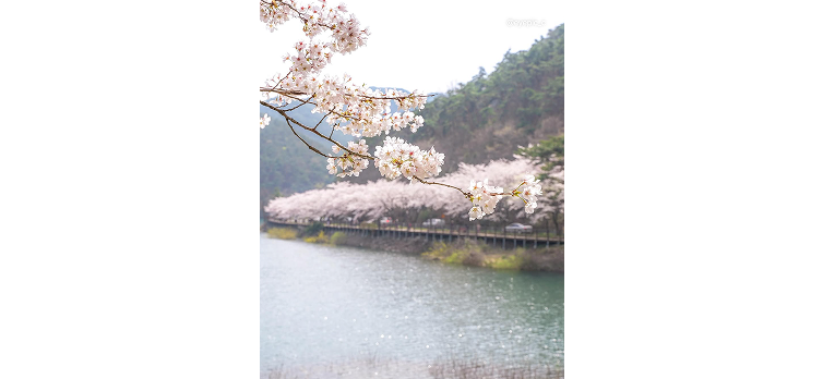 20260331 카드뉴스4