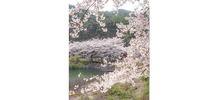 20260331 카드뉴스5