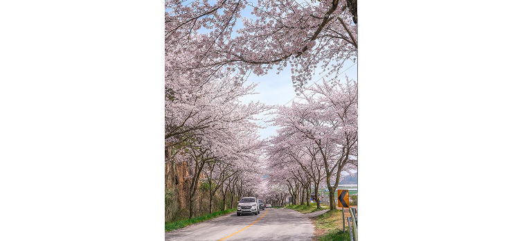 20260331 카드뉴스6