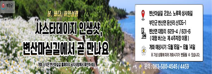 샤스타데이지 꽃길 초대