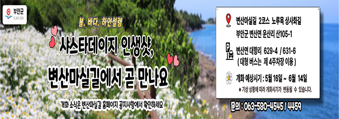 샤스타데이지 꽃길 초대