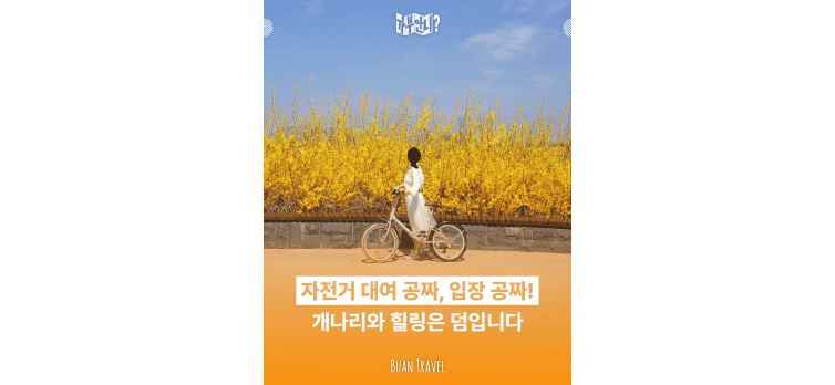 20260415 카드뉴스2