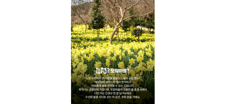 20260415 카드뉴스7