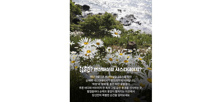 20260520 카드뉴스2