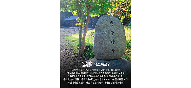 20260623 카드뉴스3
